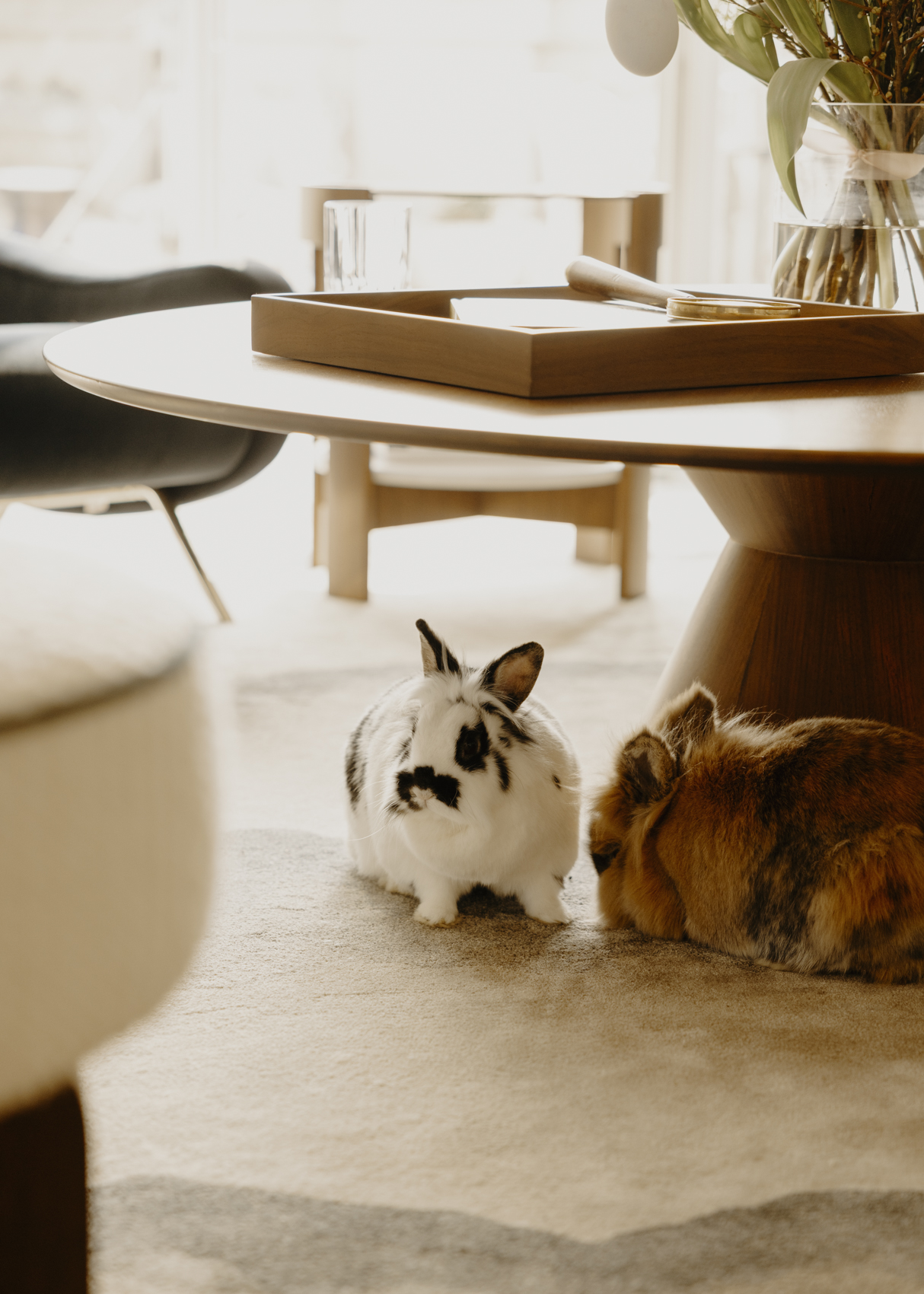 Amelie Niederbuchner