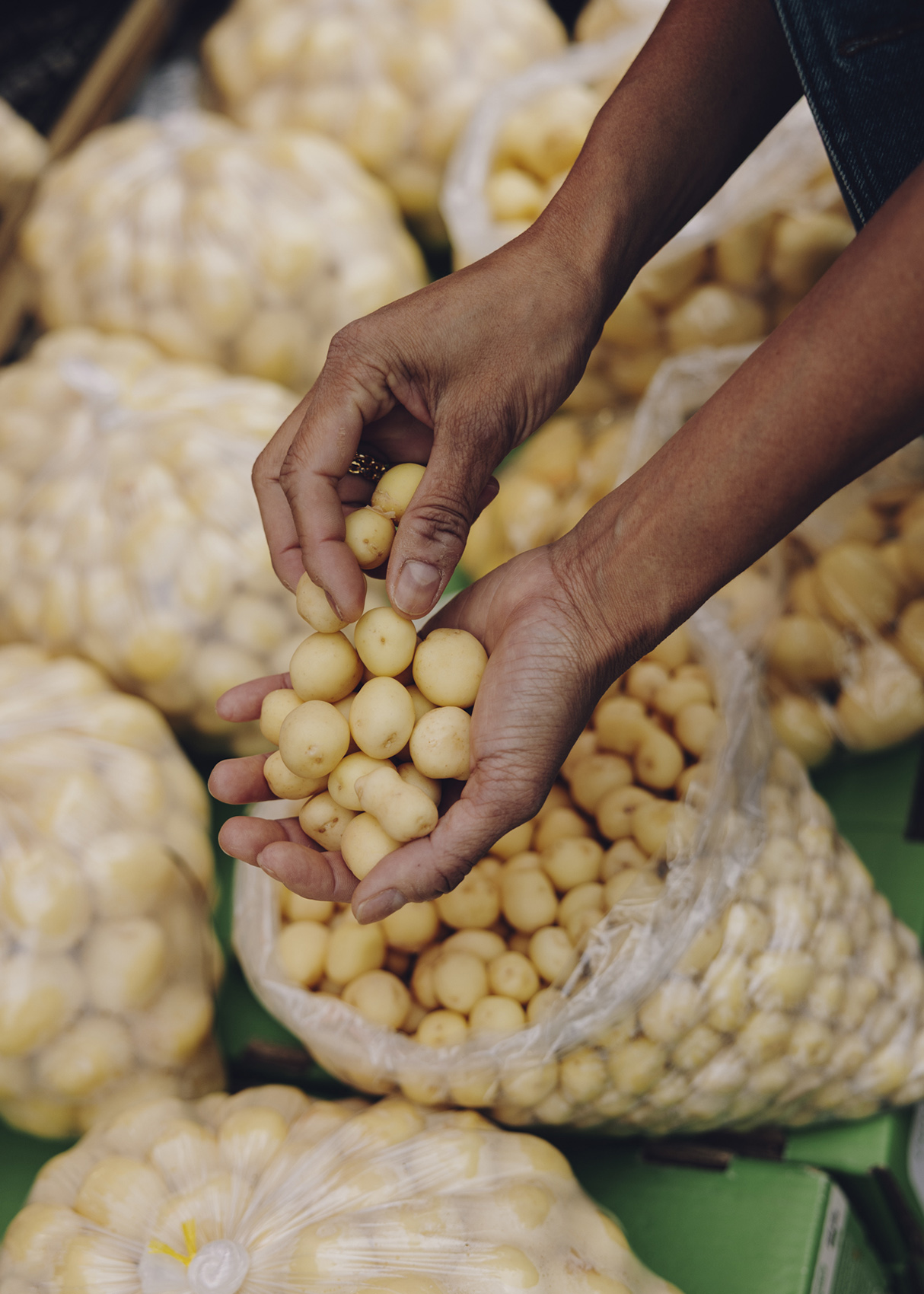 Amelie Niederbuchner