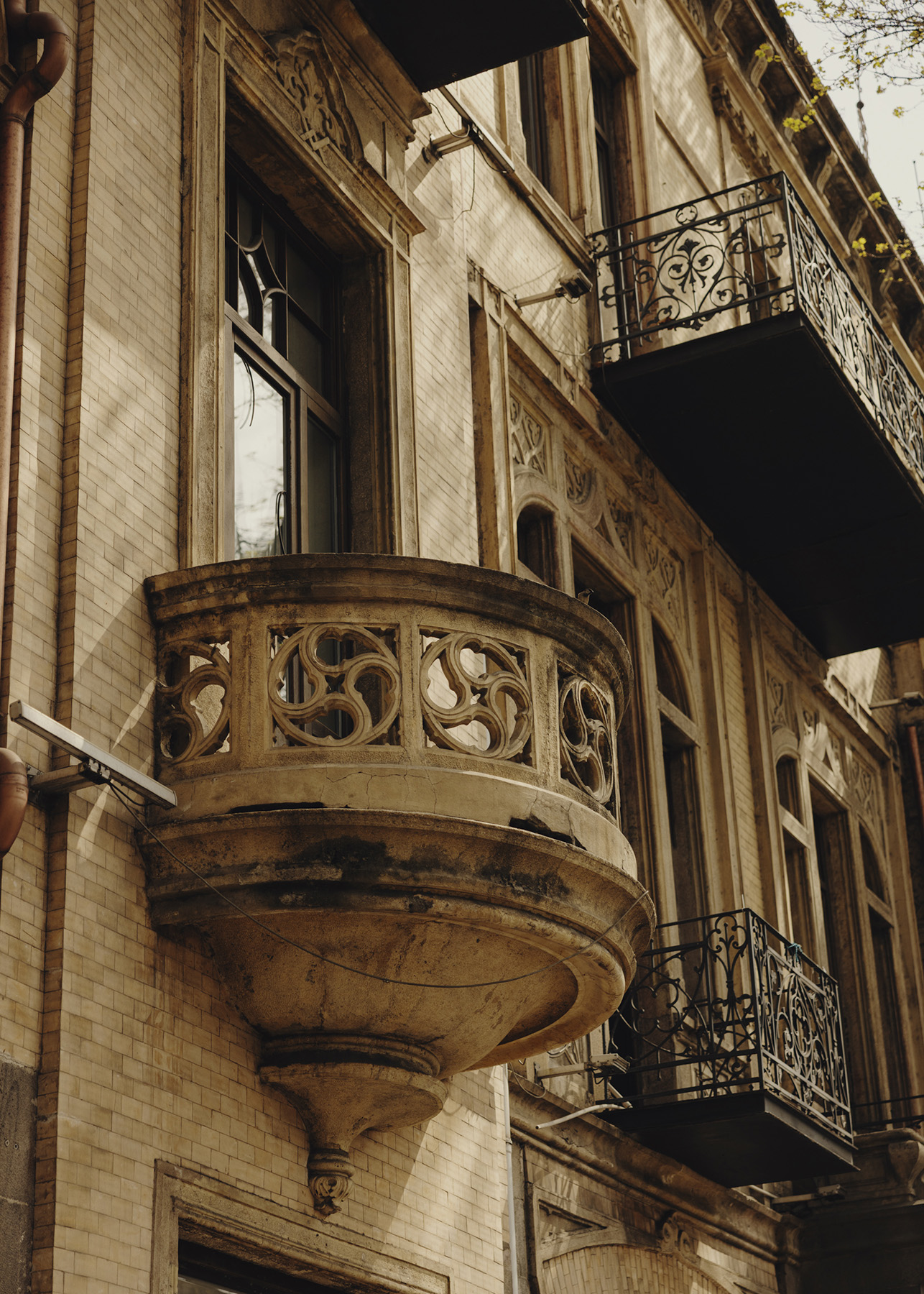 Amelie Niederbuchner