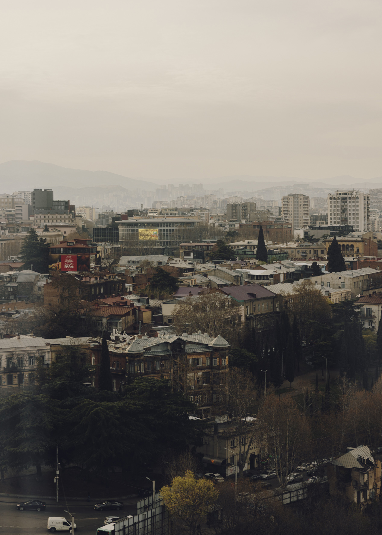 Amelie Niederbuchner