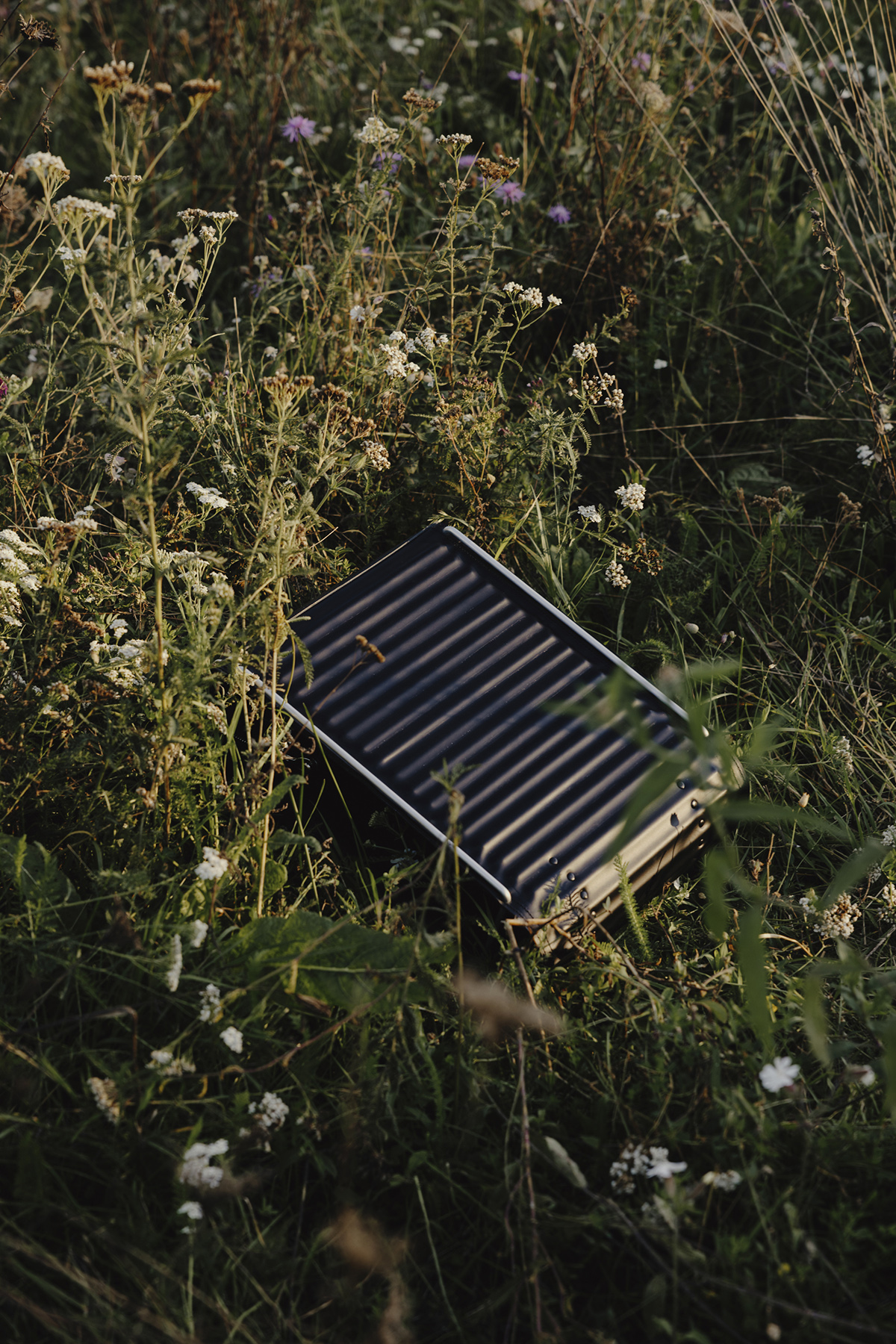 Amelie Niederbuchner